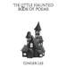 The Little Haunted Book of Poems