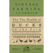 The Health of Ducks on the Farm - A Collection of Articles on Diseases and Their Treatment