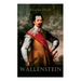 Wallenstein: Eine Charakterstudie