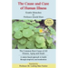Cause and Cure of Human Illness