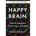 Happy Brain: Where Happiness Comes From, and Why