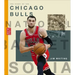 The Story of the Chicago Bulls
