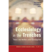 Ecclesiology in the Trenches: Theory and Method Under Construction