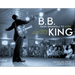 B.B. King: From Indianola to Icon: A Personal Odyssey with the "King of the Blues"