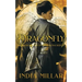 Dragonfly: A Japanese Historical Fiction Novel