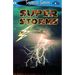 Seemore Readers: Super Storms - Level 2