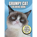 Grumpy Cat Coloring Book