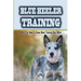 Blue Heeler Training: What You Need To Know About Training Blue Heeler: Blue Heeler Training Commands