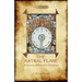 The Astral Plane- its scenery, inhabitants & phenomena