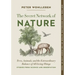 The Secret Network of Nature: Trees, Animals, and the Extraordinary Balance of All Living Things-- Stories from Science and Observation