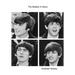 The Beatles in Mono