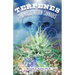 Terpenes: The Magic in Cannabis