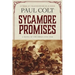 Sycamore Promises: A Novel of the Great Civil War