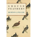 Grouse Feathers
