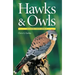 Hawks & Owls of Eastern North America