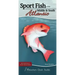 Sport Fish of the Middle & South Atlantic: Including Delaware, Georgia, Maryland, North Carolina, South Carolina, and Virginia