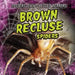 Brown Recluse Spiders