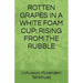 Rotten Grapes in a White Foam Cup: Rising from the Rubble