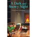 A Dark and Snowy Night