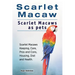 Scarlet Macaw. Scarlet Macaws as pets. Scarlet Macaws Keeping, Care, Pros and Cons, Housing, Diet and Health.