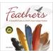 Feathers: A Beautiful Look at a Bird's Most Unique Feature