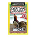 Everything You Should Know About: Ducks Faster Learning Facts
