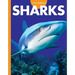 Curious about Sharks