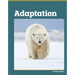 Adaptation