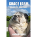Grace Farm Senior Pug Sanctuary