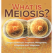 What is Meiosis? Stages of Meiosis, Prophase, Metaphase, Anaphase and Telophase Grade 6-8 Life Science