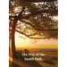 The Way of the Sunlit Path