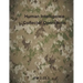 Human Intelligence Collector Operations