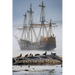 Mariners on the Margins: plundering seals in Colonial Australasia: Plundering Seals in Colonial Australasia