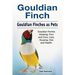 Gouldian finch. Gouldian Finches as Pets. Gouldian finches Keeping, Pros and Cons, Care, Housing, Diet and Health.
