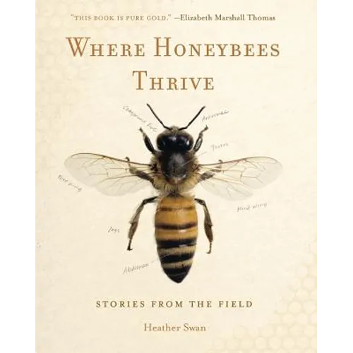 Where Honeybees Thrive: Stories from the Field