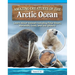 Amazing Creatures of the Arctic Ocean: Learn about Animals Including Polar Bears, Narwhals, Seals, and Sea Spiders!