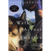 A Walk Across America