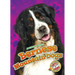 Bernese Mountain Dogs