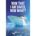 Now That I Am Saved, Now What?