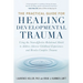 The Practical Guide for Healing Developmental Trauma: Using the Neuroaffective Relational Model to Address Adverse Childhood Experiences and Resolve C