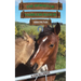 The Horses of Saddlers Ranch: Brownie