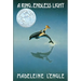 A Ring of Endless Light: The Austin Family Chronicles, Book 4 (Newbery Honor Book)