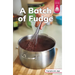 A Batch of Fudge