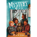 Mystery in the Snow