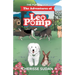 The Adventures of Leo Pomp: The Pup of Luck