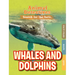 Whales & Dolphins