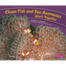 Clown Fish and Sea Anemones Work Together