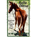 Bella Diosa: Book Nine of the Winning Odds Series
