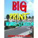 Big Print Word Search: 133 Entertaining Themed Puzzles
