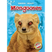 Mongooses